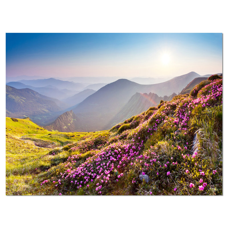 « magic rose floral on montagne », reproduction de photo sur toile tendue encadrée, H 8 po x l 12 po x P 1 po, Toile tendue