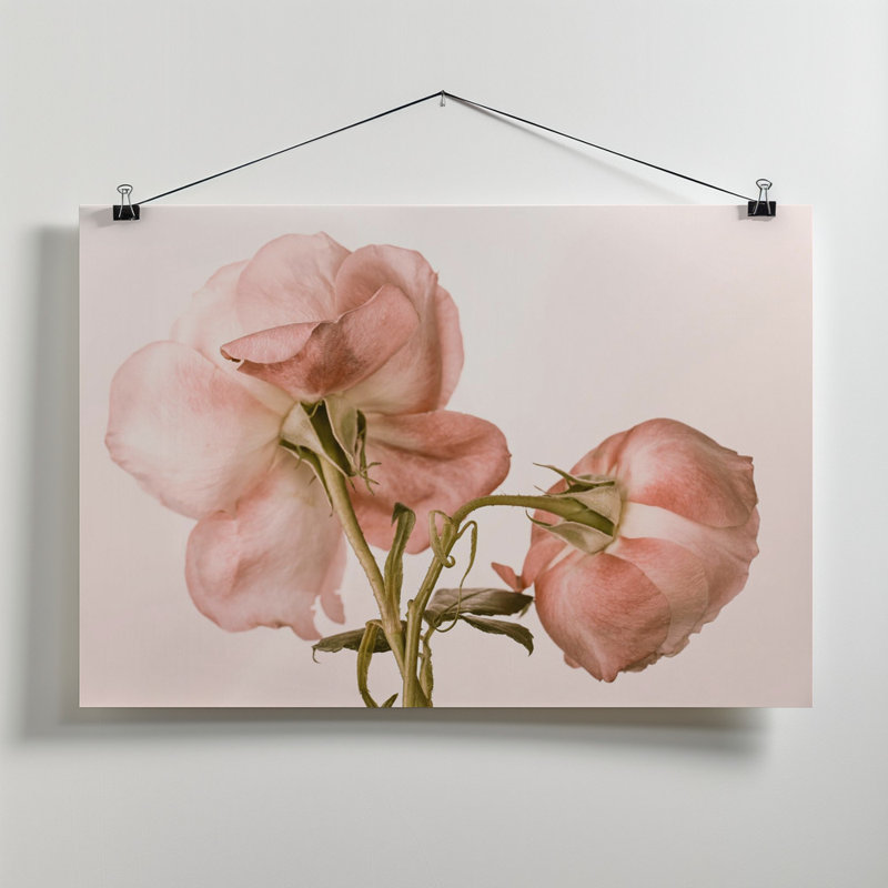 Wrapped Canvas Print, 76.2 cm H x 50.8 cm W