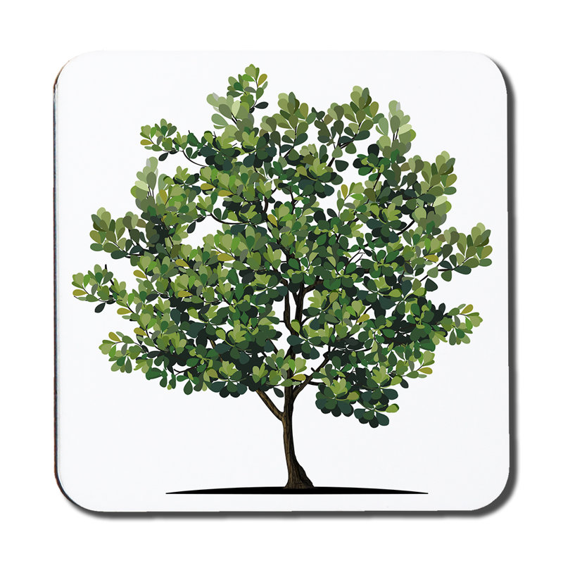 Duje Square 6 Piece Coaster Set