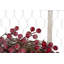 Couronne de bois 24 po floral