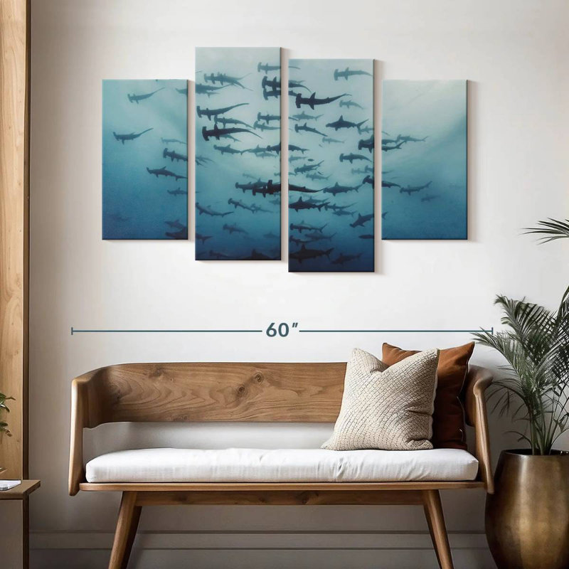 Frisson de requins marteaux