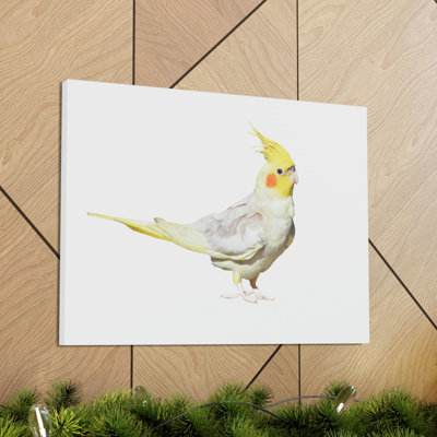 No Frame Print on Canvas