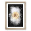 Pale Yellow Rose - Picture Frame Graphic Art Print-56857012-56857007