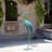 Paisyn Animals Water Resistant UV Resistant Metal Garden Statue