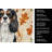 Tricolor Cavalier Spaniel Heirloom Fall Kitchen Towel-1218231267
