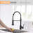 FLG Pull Down Kitchen Faucet-53000734