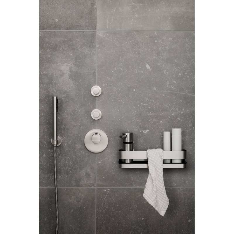 Tablette de douche NEXIO, H 3,3465 po x l 13,3858 po x P 4,7244 po, Acier inoxydable mat
