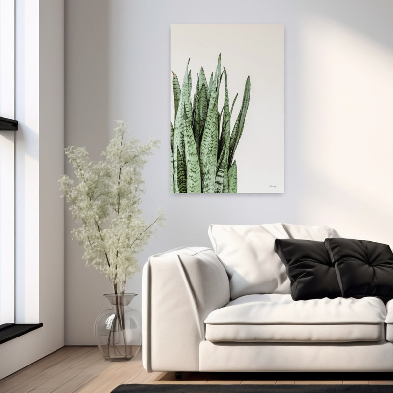 Boho Snake Plant, H 36 po x l 24 po