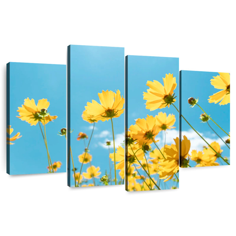 Harnek fleurs jaunes sur fond de ciel bleu