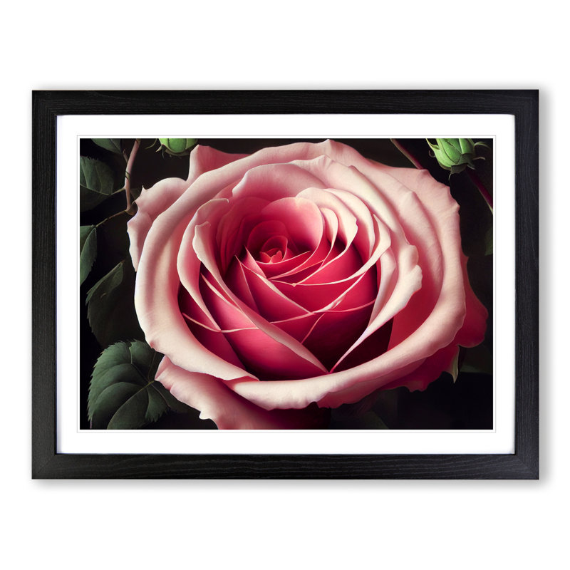 Sparkling Rose Flower - Framed Print, Black, 46cm H x 64cm W x 2cm D