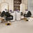 Stylish Adjustable Barber Chair