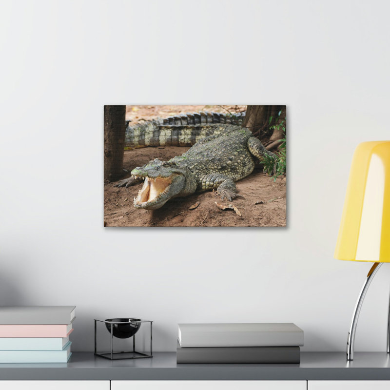 No Frame Print on Canvas, 30.48cm H x 45.72cm W