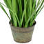 Oignon artificiel 36 "en pot