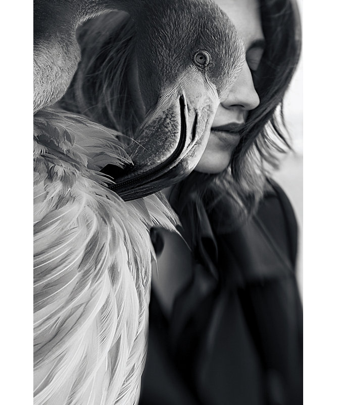 Wrapped Canvas Print, 76.20 cm H x 50.80 cm W