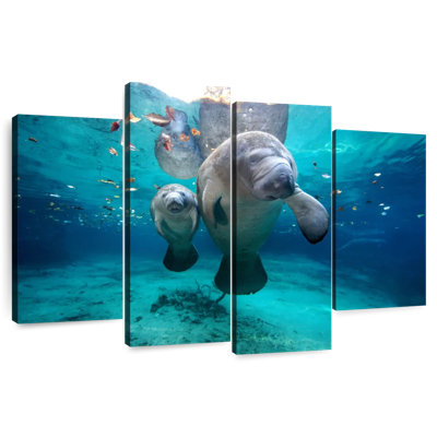 Brampt Manatee And Calf