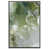 Black Floater Frame