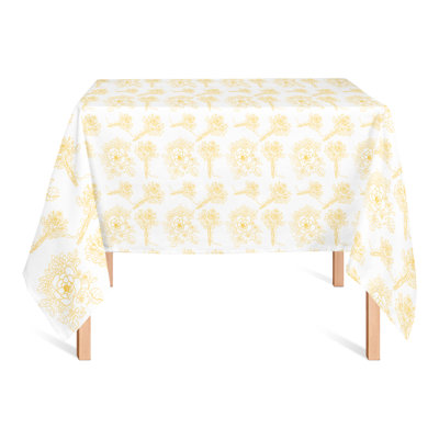 Nappe Sumner