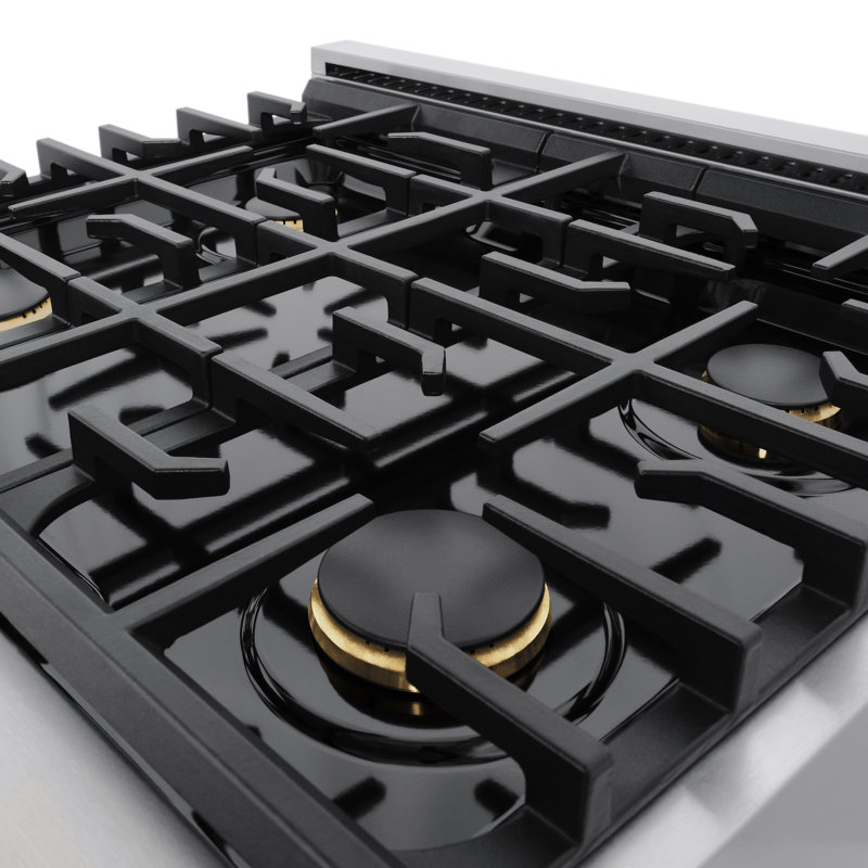 ZLINE Autograph 30 in. Paramount Dual Fuel Satin Steel Range w/ Accents