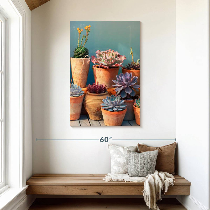 Plante grasse Harnek sur table, H 45 po x l 30 po