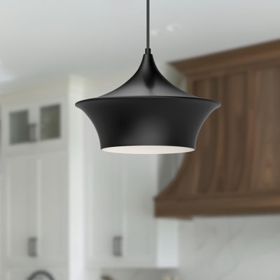 Luminaire suspendu à 1 lumière Alexia