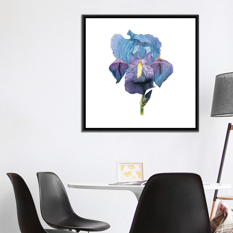 «Brighton Blooms IV», impression sur toile, H 18 po x l 18 po x P 1,5 po, Toile avec cadre noir, Pas de tapis