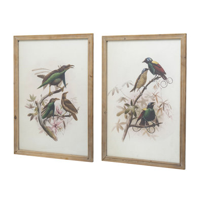 S/2 Bird Framed Print, 19.5X27.5"