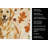 Golden Retriever Heirloom Fall Kitchen Towel-1218231187