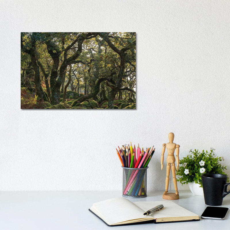The Wild Wood by Adam Burton - Wrapped Canvas Gallery-Wrapped Canvas Giclée, 20.32 cm H x 30.48 cm W