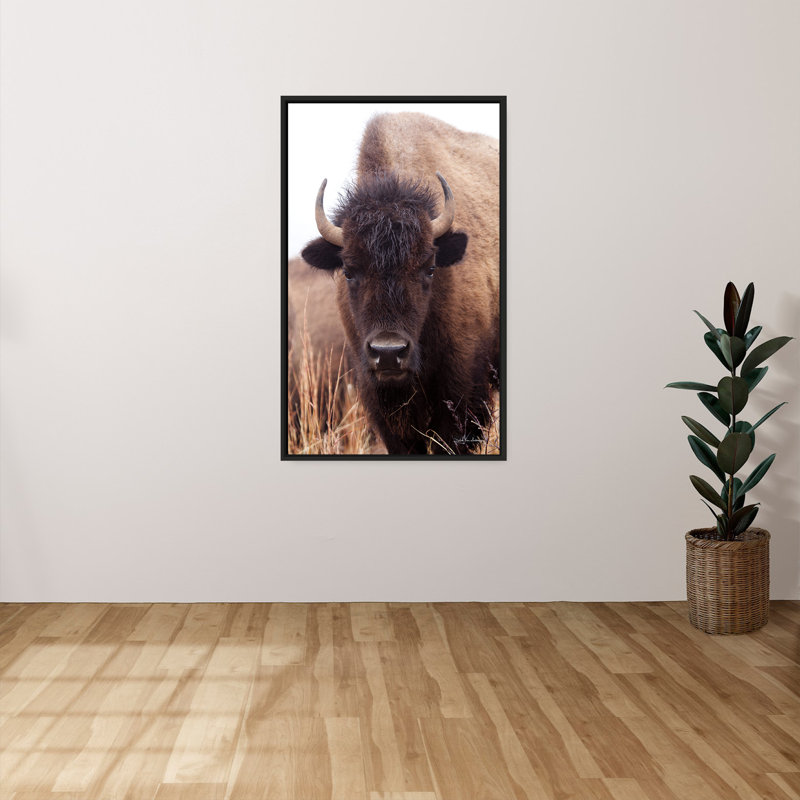 "American Bison IV" par Debra Van Swearingen, reproduction sur toile dans un cadre flottant noir, H 33,5 po x l 21,5 po