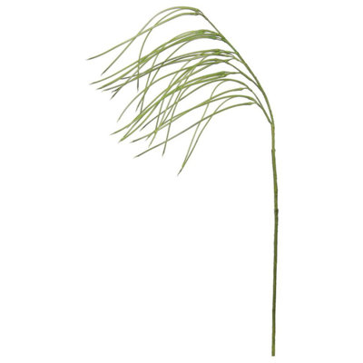 Silk Pencil Grass Arrangement