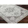 Mikel Traditional Light Gray Area Rug