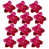 Rose sélectionné