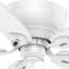 54" Durant 5 - Blade Flush Mount Ceiling Fan with Pull Chain
