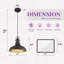 1 - Light 11'' Farmhouse Pendant Light Oil Rubbed Bronze Finish