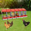 6 boîtes de poules pondeuses avec collection d'œufs-2008526198