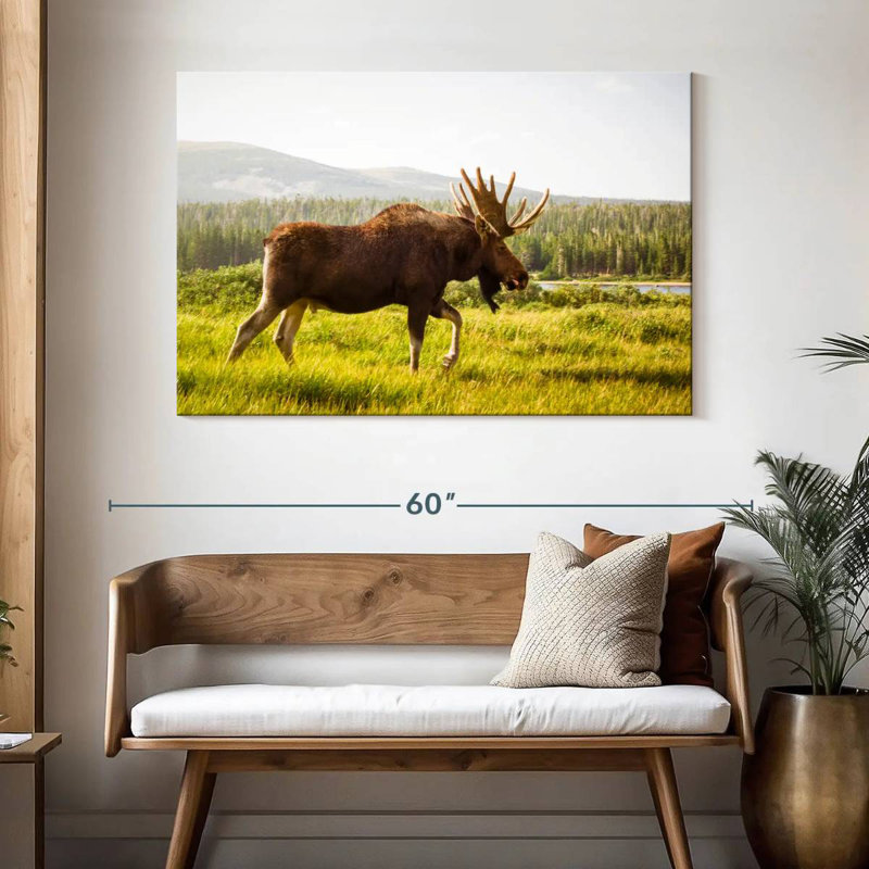 Crowle Grazing Wild Moose, 32" H x 48" W