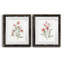 Lin botanique corail III - ensemble de 2 reproductions d'art-11592744-11592738-11592746