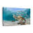 " Curacao Fish And Turtle "-1241928103