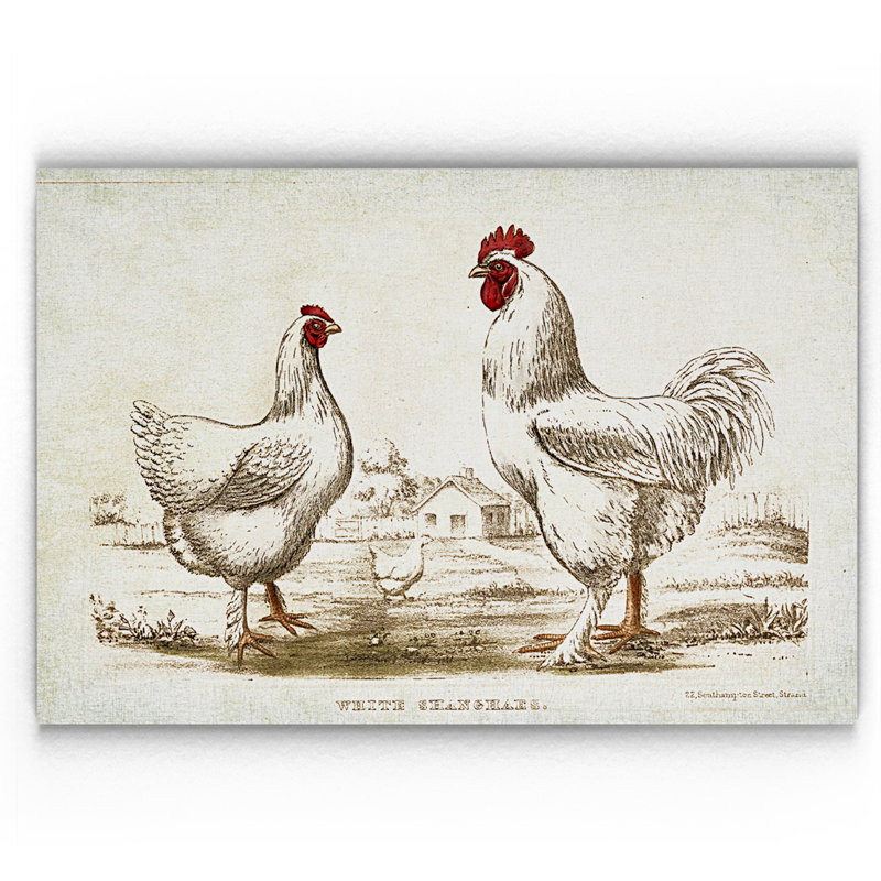 « poulet sketch ii », impression, H 18 po x l 27 po x P 1,5 po, Pas de tapis, Toile tendue