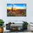 Harnek Desert Cactus Sun Ray-107472863
