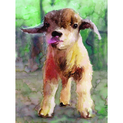 " Baby Goat "