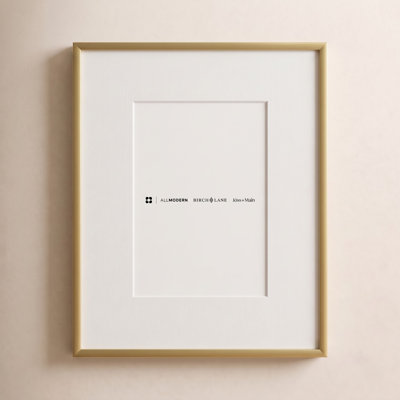 Feronia Metal Picture Frame with Mat