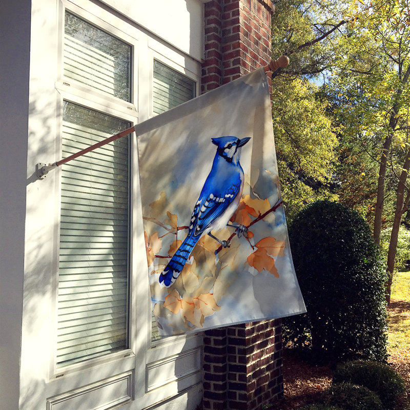 Drapeau bleu Jay House_DAC3183