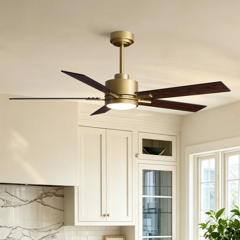 Ventilateur de plafond 52 "avec lumière