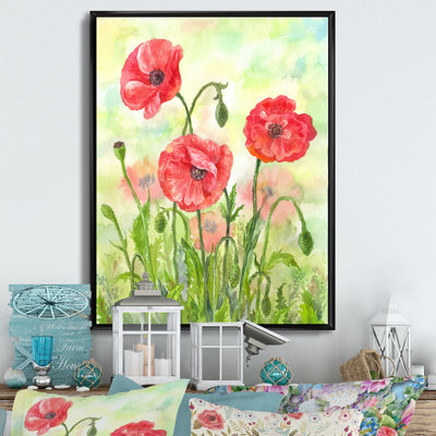 Floraison des coquelicots rouges - activé