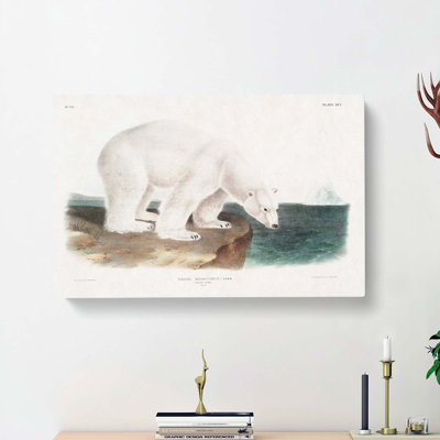 Polar Bears by J.W. Audubon - Wrapped Canvas