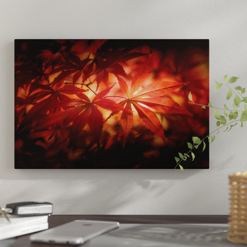 « red light », reproduction de photo sur toile, H 8 po x l 12 po x P 0,75 po