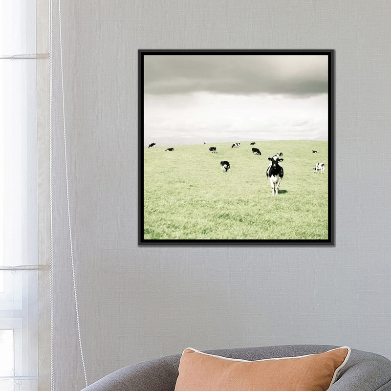 " Curious Cows " by Lupen Grainne, Black Framed Canvas, No Mat, 18" H x 18" W x 1.5" D