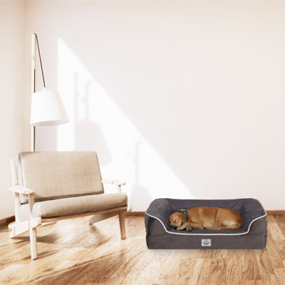 Lit pour animaux