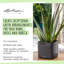 Cube Pot Planter-36478382-36478383